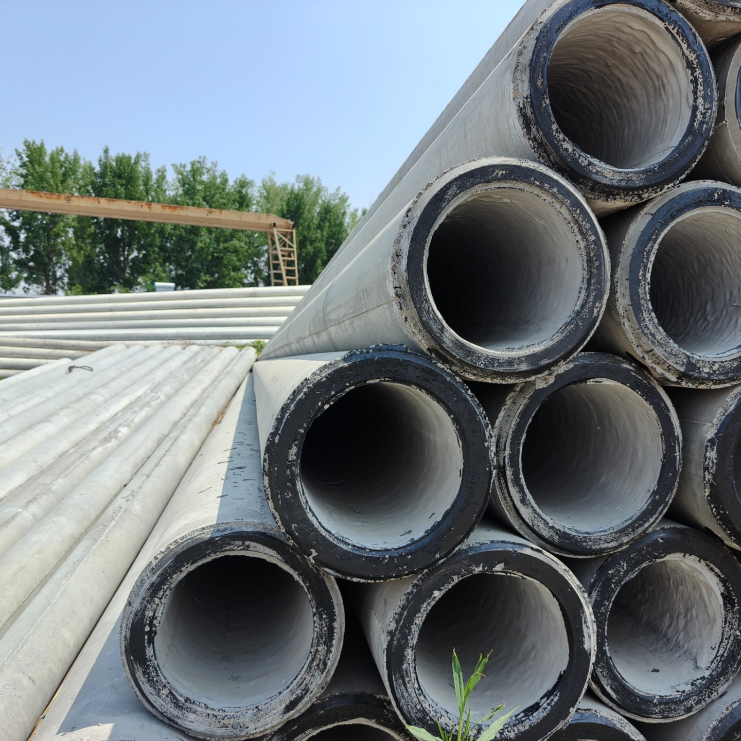 岑巩10米预应力水泥电杆